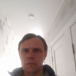 ���� ����, �����, 41 ��� - ��������� 12 ����� 2026