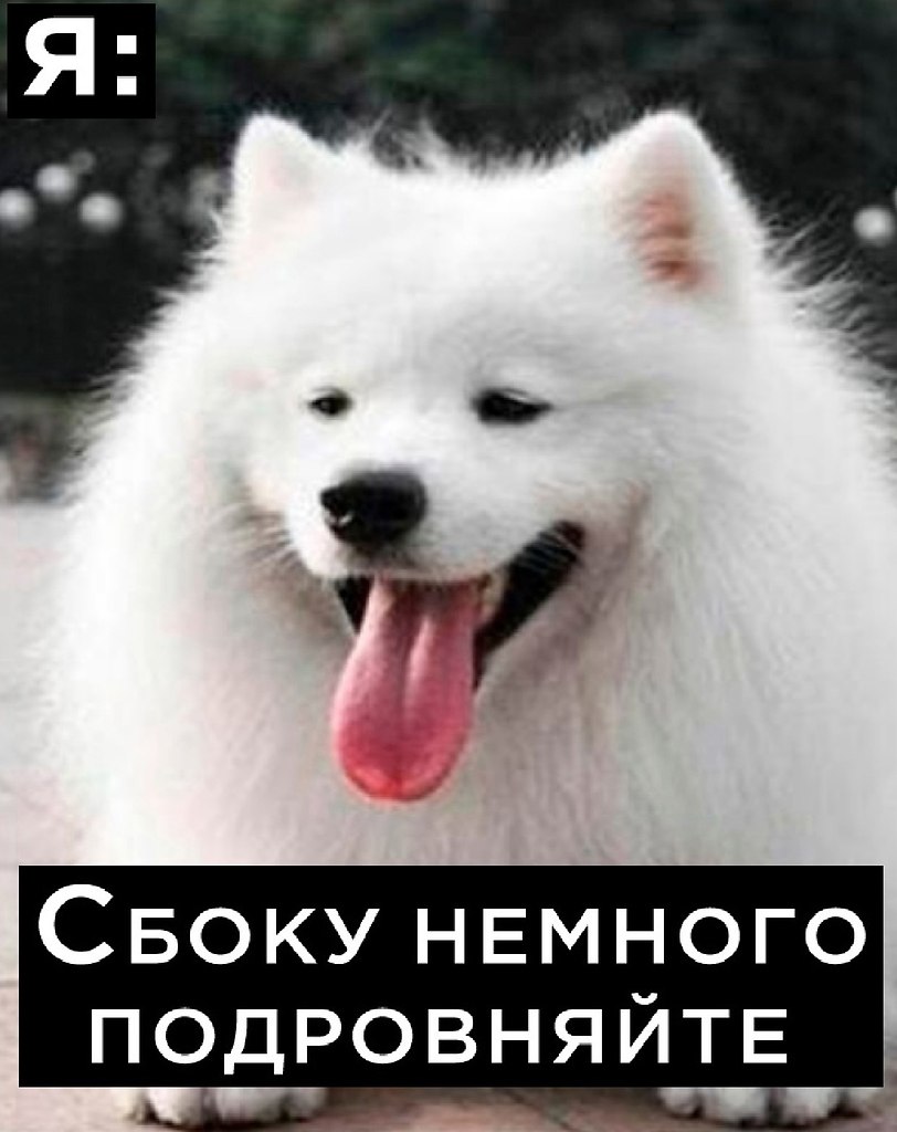 JPG - 9  2025  23:03