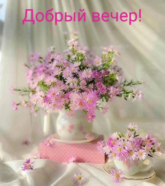   - 6  2025  21:45