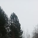 ���� ������, �����������, 60 ��� - ��������� 29 ������� 2024 � ������ ���� ����������