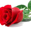 ���� �������, ������, 35 ��� - ��������� 16 ������ 2023 � ������ ���� ����������