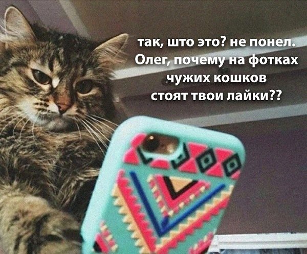 ��� �������� �������� - 2 ������� 2025 � 08:25
