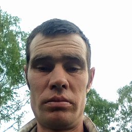  , 37, 