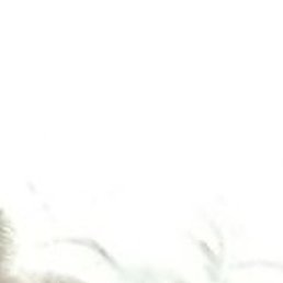 �����, ��������, 61 ���