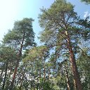 ���� ����, ������ - ��������� 12 ������� 2026