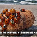  , --, 70  -  2  2024    