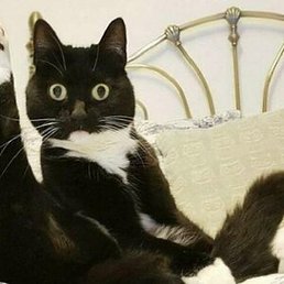 ������, ������, 41 ���