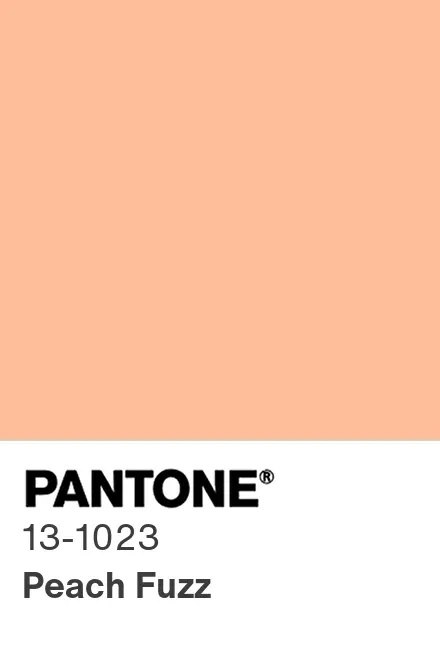   Pantone   2024 .  -    ... - 2