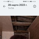 ���� ������, ������, 38 ��� - ��������� 8 ������ 2025 � ������ ���� ����������