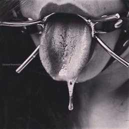 Dibin Kimi Al, ����, 32 ����