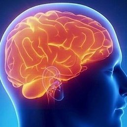 Lxld, �����, 24 ����