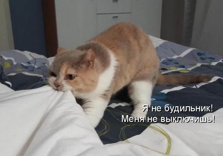   - 11  2025  11:36