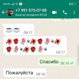 ���� ��������, ������, 63 ���� - ��������� 22 ���� 2026