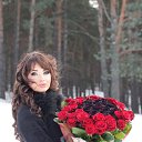 ���� ����, ����, 37 ��� - ��������� 15 ������ 2026 � ������ ������ ��������