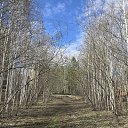 ���� �����, �����������, 68 ��� - ��������� 21 ������ 2026 � ������ ���� ����������
