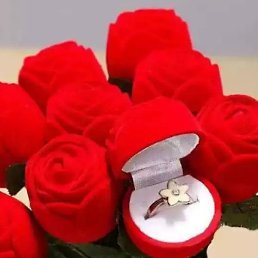 ����, �������, 26 ���