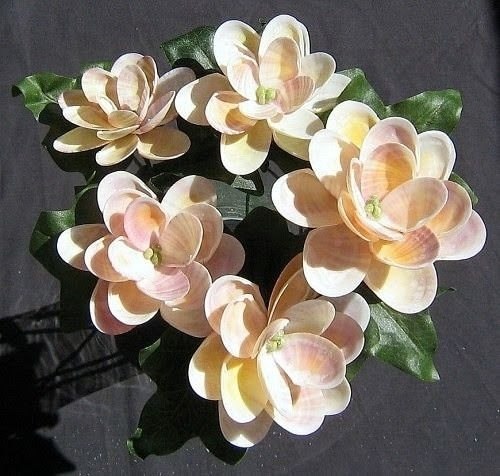 Эти цветочные композиции из ракушек — настоящее искусство, в котором природа соединяется с ... - 4