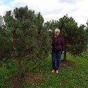 ���� �������, ������, 63 ���� - ��������� 27 ������ 2023