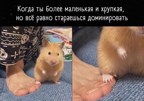 ,   )
