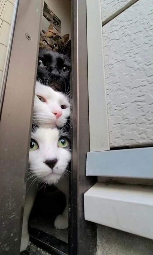 � ������ ����� � ������)