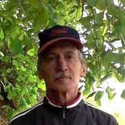 ����� ������, 62 ����, ����