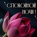 ���� ���������, �����������, 60 ��� - ��������� 21 ������� 2026