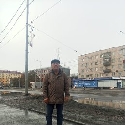 , 61, 