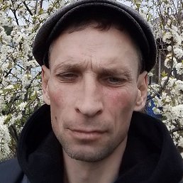 , , 44 