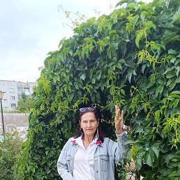 , 55, 