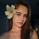 ���� ������, ���������, 29 ��� - ��������� 12 ������� 2025 � ������ ���� ����������