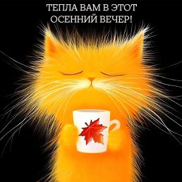 ��������, ����, 43 ����