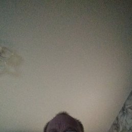 ����, ������, 52 ����