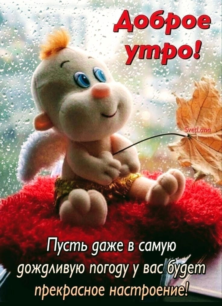   ,    . - 21  2025  23:55