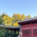 ���� �����, ������, 48 ��� - ��������� 27 ������� 2026 � ������ ���� ����������