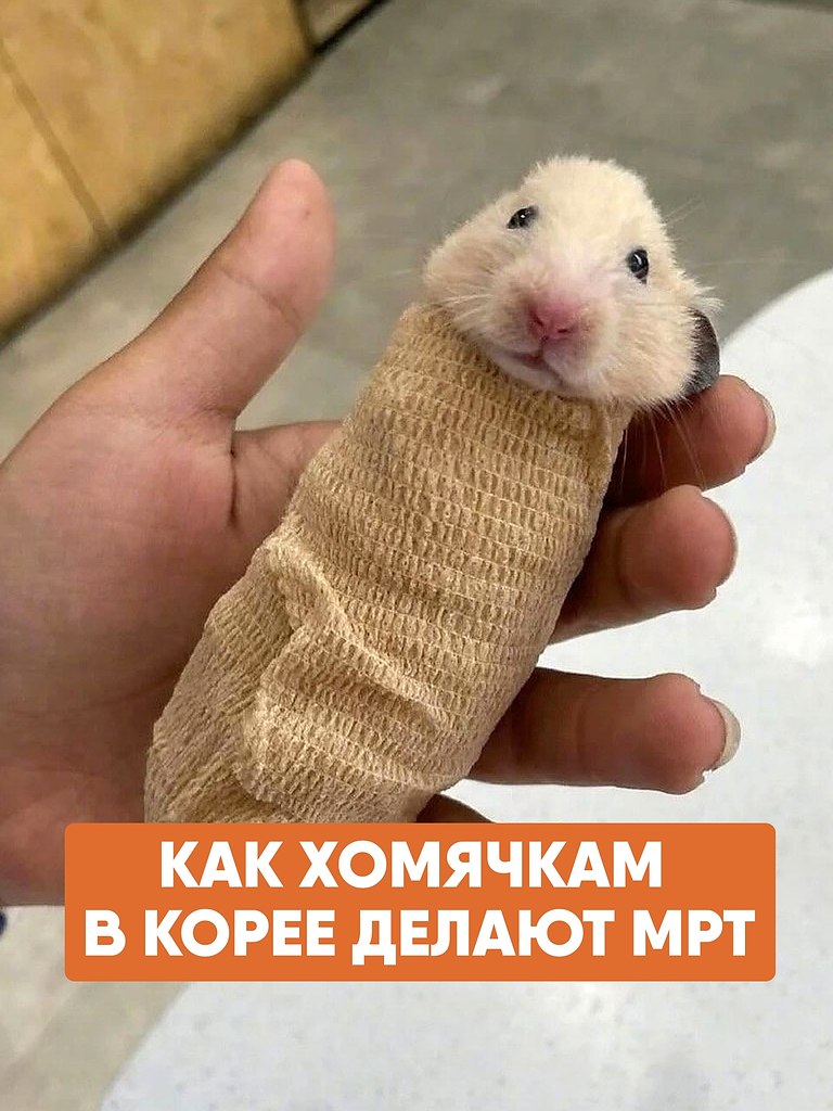     ,        . ...