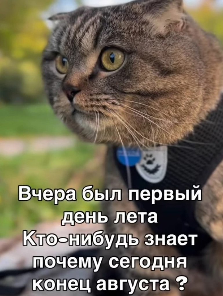 :)