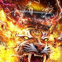 ���� ������, ������� ��������, 41 ��� - ��������� 8 ���� 2026 � ������ ���� ����������