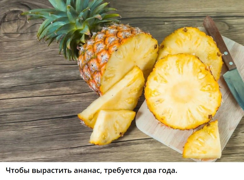   - 16  2024  03:00