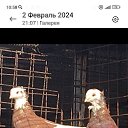 ���� ����, �����������, 49 ��� - ��������� 7 ���� 2025