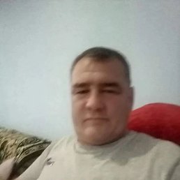  , , 49  -  16  2025
