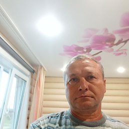 , 54, 