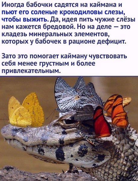  - 9  2025  14:39