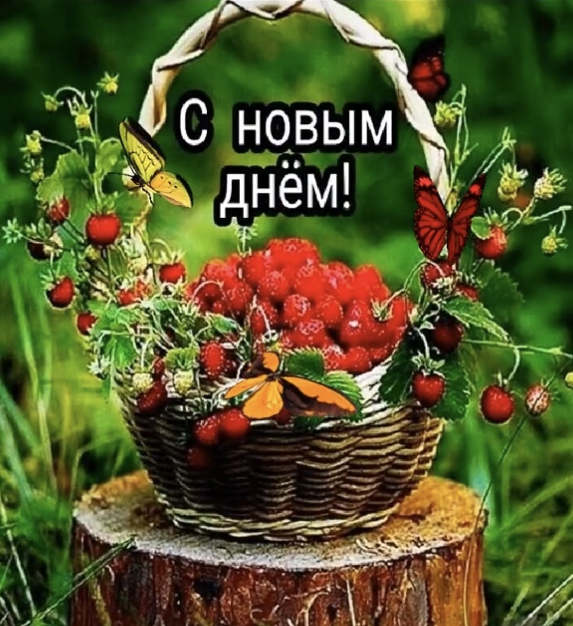 Zv   !!! V - 19  2025  14:44 - 3