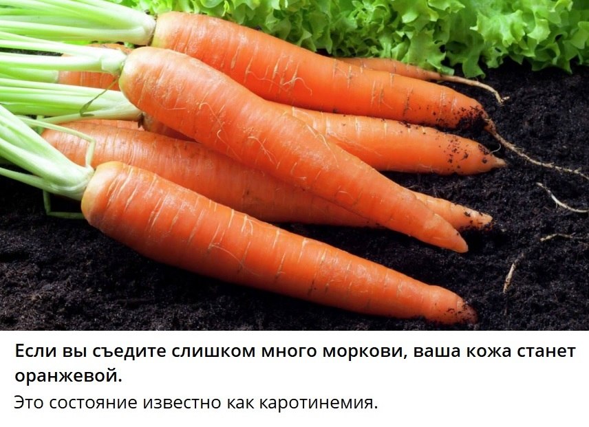   - 3  2024  16:07