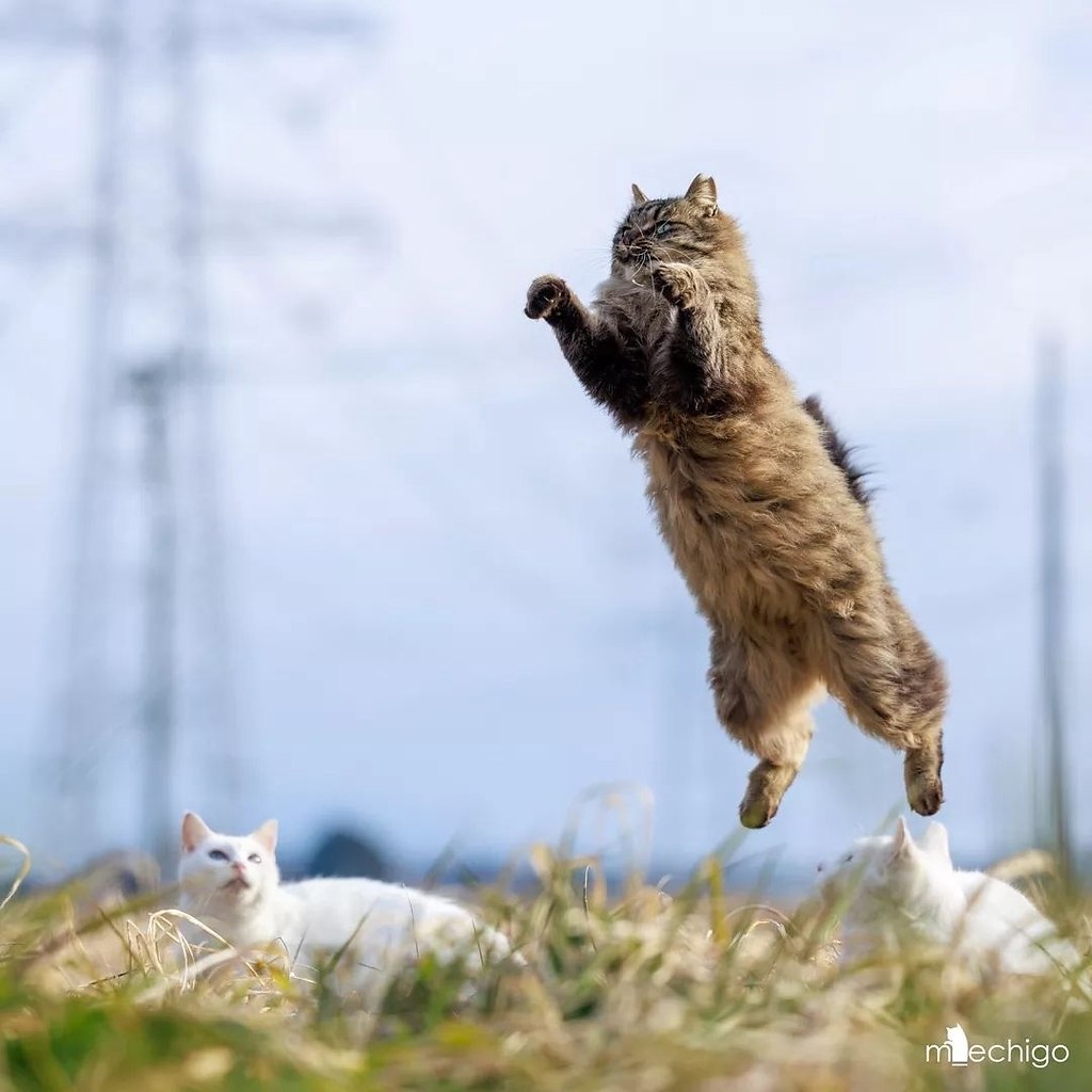 ����� ������, ��p����� �����... - 4