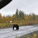 ���� �����, ����������, 40 ��� - ��������� 5 ������� 2024 � ������ ������ ��������