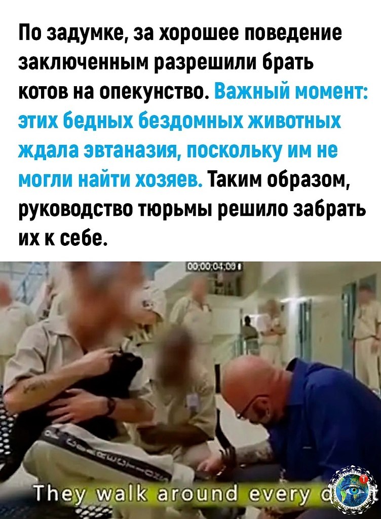  |  |   5 - 7  2024  19:16 - 2