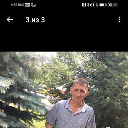, 51 , 