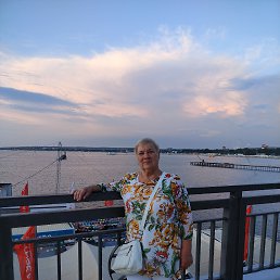 , 66, 