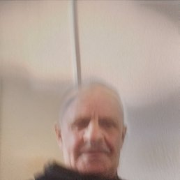 , 61, 